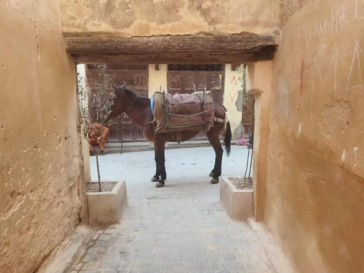 Dar Lantana Hotell Fès Eksteriør bilde
